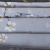 g6